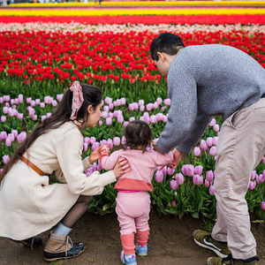 Meet your Posher, Jonnisa